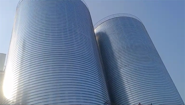 兴海2座混凝土高架卷板仓